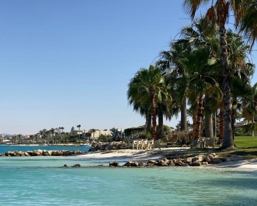 Marina 8 Alamein Saudi Egyptian Developers