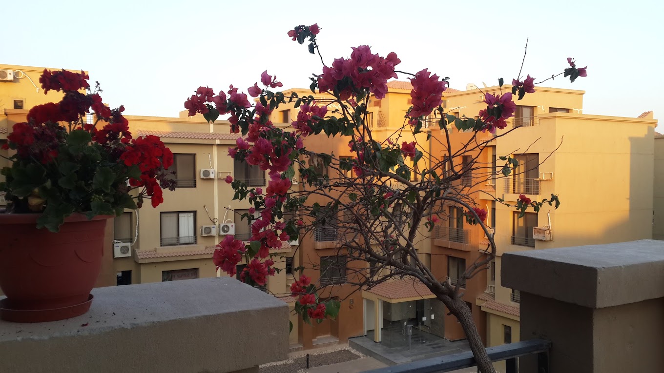 la casa Compound Sheikh Zayed Beyond